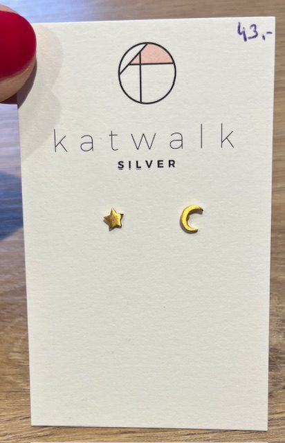Zilveren oorring maan & ster Katwalk Silver