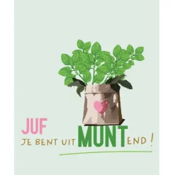 Notitieboekje leukste juf