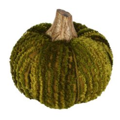 Decoratieve pompoen groen 12cm